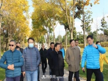 提升城市园林绿化，苏州向上海学什么？